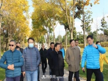 提升城市园林绿化，苏州向上海学什么？